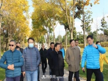 提升城市园林绿化，苏州向上海学什么？